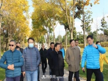 提升城市园林绿化，苏州向上海学什么？